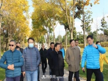 提升城市园林绿化，苏州向上海学什么？